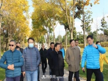 提升城市园林绿化，苏州向上海学什么？